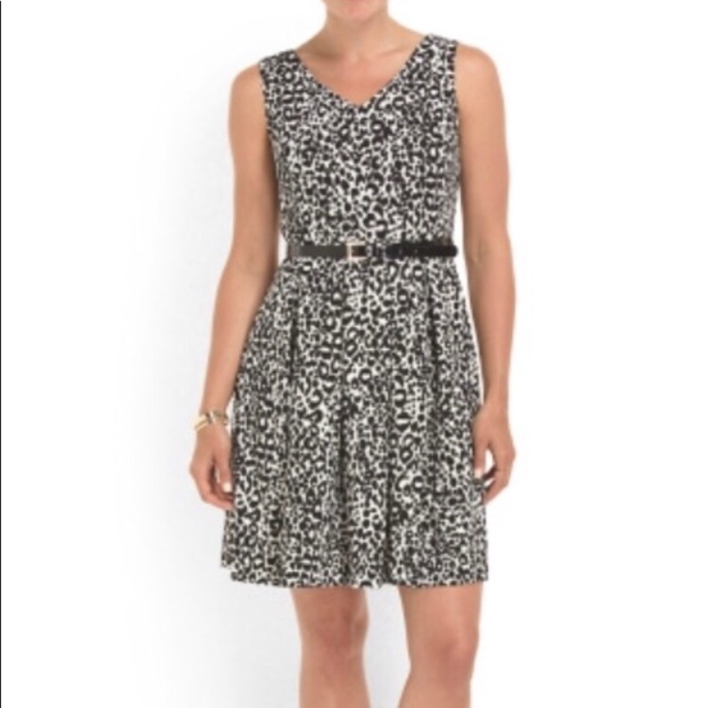 Sandra Darren Animal Print Dress Size 10 NWT